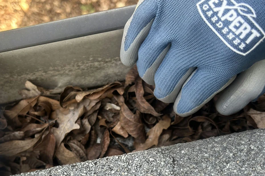 Gutter Cleaning Chastain Park