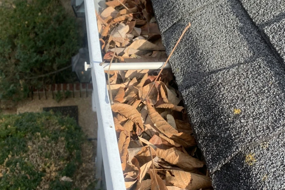 Gutter Cleaning Chastain Park