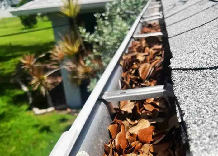 Gutter Cleaning Chastain Park home page